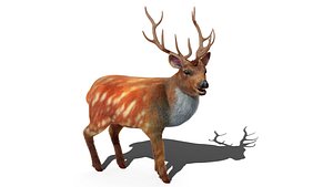 3D model Fur Rigged Deer Stag