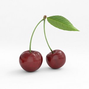 food cherry fruit 3D model