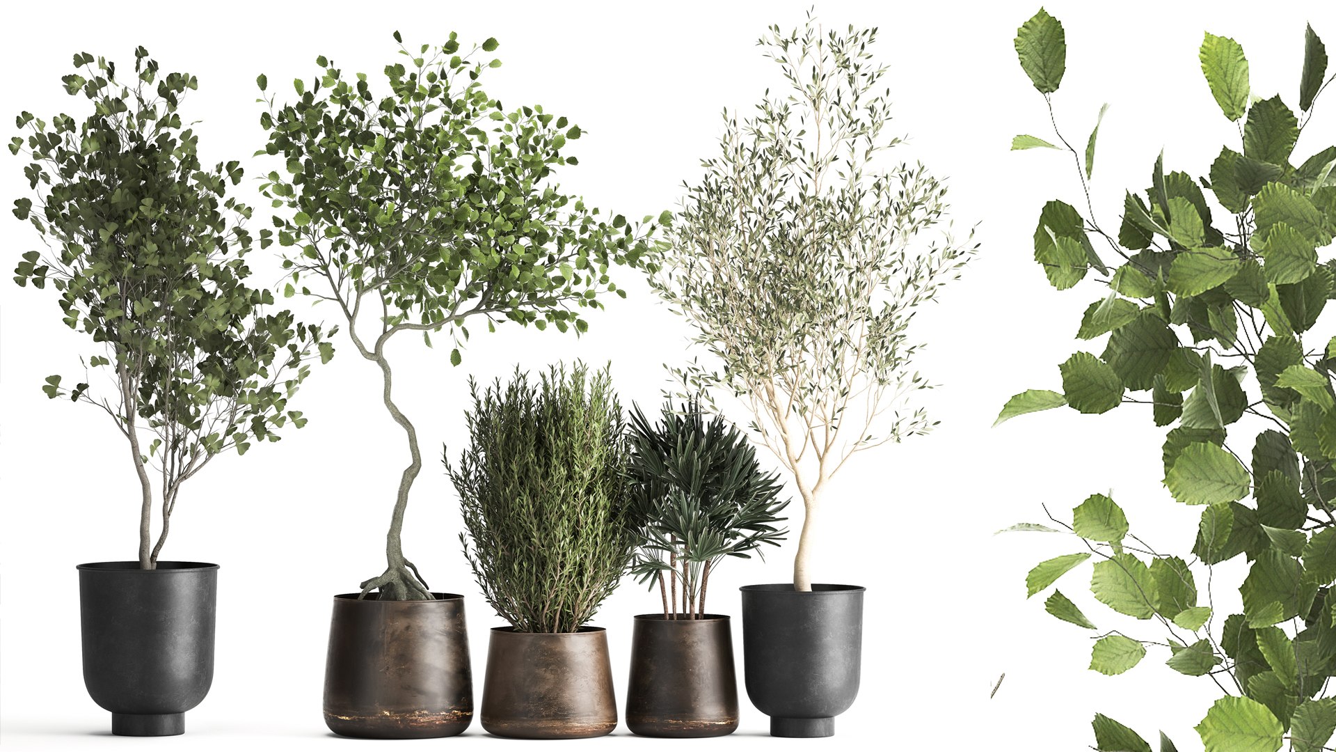 3D Houseplants in a flowerpot for the interior 1030 https://p.turbosquid.com/ts-thumb/98/CZbLeQ/4m/1plants1708202102/jpg/1629286890/1920x1080/fit_q87/ec9250f3df4990530774f4f1cff0f291b0569c69/1plants1708202102.jpg