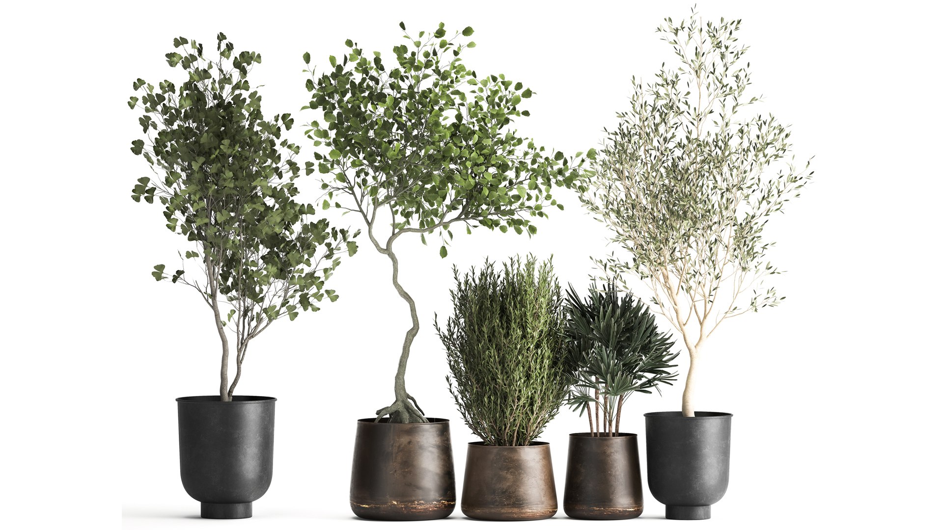 3D Houseplants in a flowerpot for the interior 1030 https://p.turbosquid.com/ts-thumb/98/CZbLeQ/7e/1plants1708202103/jpg/1629286889/1920x1080/fit_q87/f74ef2ada50c5acc105b4577ae0cbd5009f655fd/1plants1708202103.jpg