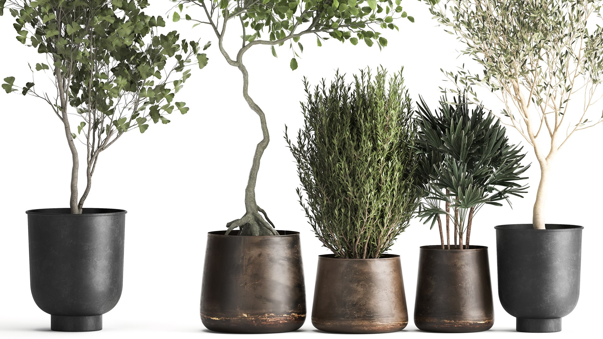 3D Houseplants in a flowerpot for the interior 1030 https://p.turbosquid.com/ts-thumb/98/CZbLeQ/MG/1plants1708202104/jpg/1629286891/1920x1080/fit_q87/2a580eac2c1d848e6685085c74abf6edea495715/1plants1708202104.jpg