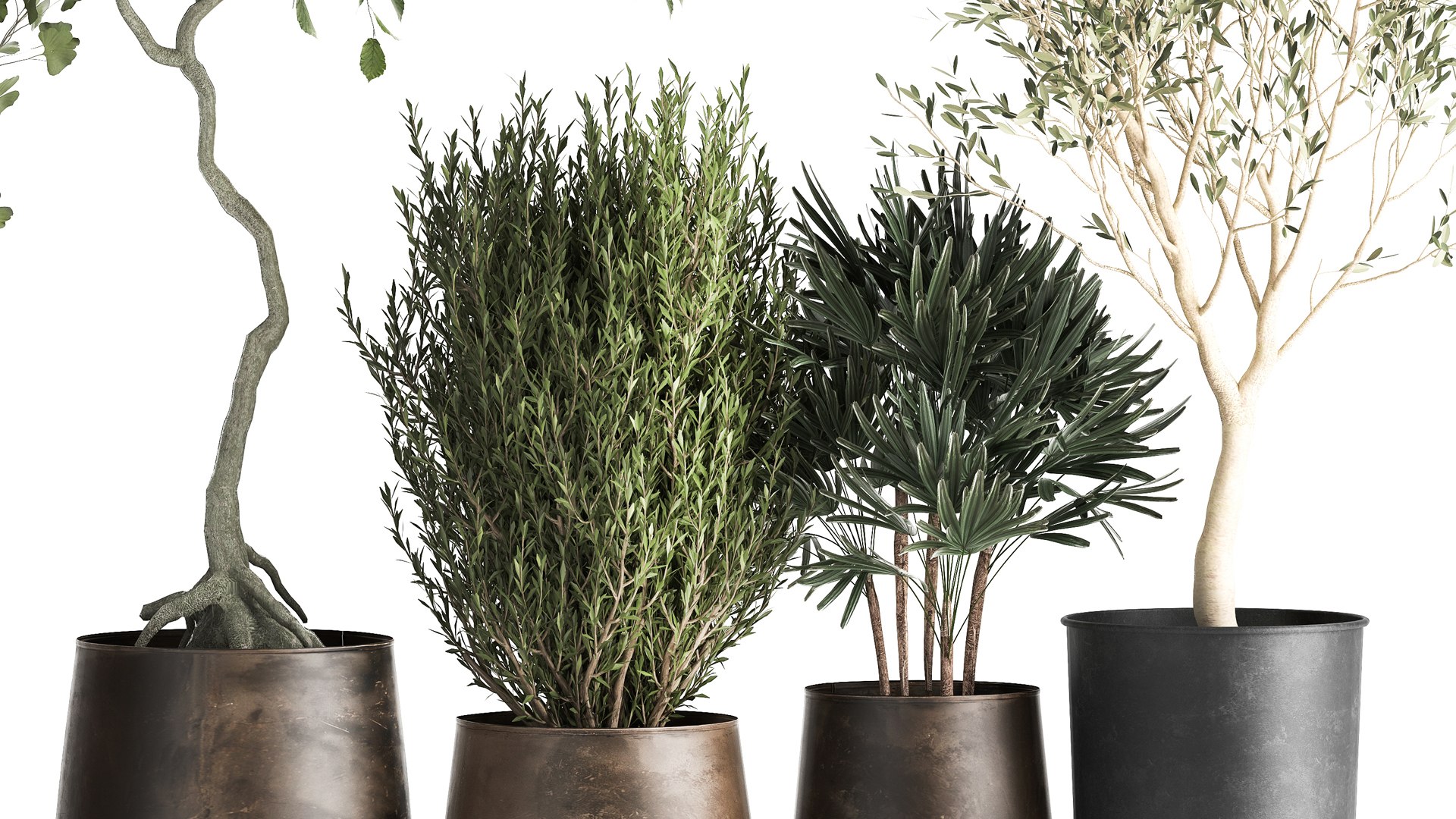 3D Houseplants in a flowerpot for the interior 1030 https://p.turbosquid.com/ts-thumb/98/CZbLeQ/Qo/1plants1708202105/jpg/1629286893/1920x1080/fit_q87/ba7c0d9c01aaa5b8e821143aedf1de1391e20de0/1plants1708202105.jpg