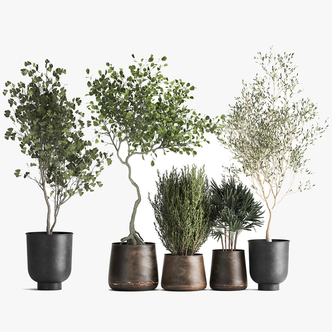 3D Houseplants in a flowerpot for the interior 1030 https://p.turbosquid.com/ts-thumb/98/CZbLeQ/Un/1plants1708202101/jpg/1629286888/1920x1080/fit_q87/584f6eb555cb7447b77beccfeca1ec8f7454829c/1plants1708202101.jpg