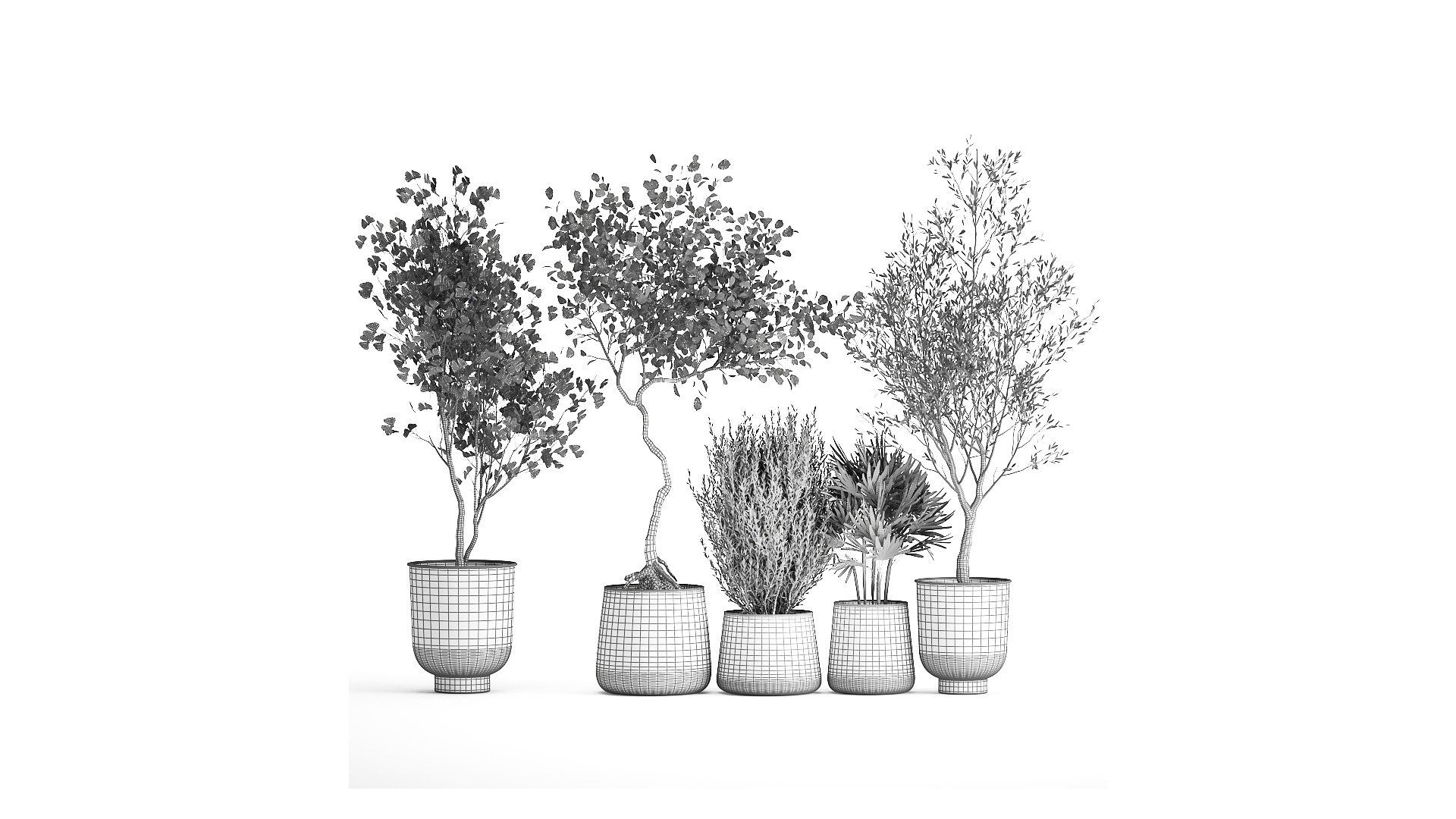 3D Houseplants in a flowerpot for the interior 1030 https://p.turbosquid.com/ts-thumb/98/CZbLeQ/WR/1plants1708202109/jpg/1629286894/1920x1080/fit_q87/29d41cdc0629b03eb6abd1e12c4db45329cff4fe/1plants1708202109.jpg