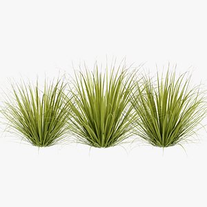 3D model Long Grass