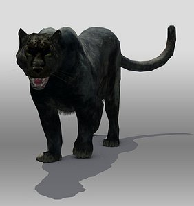 Panther