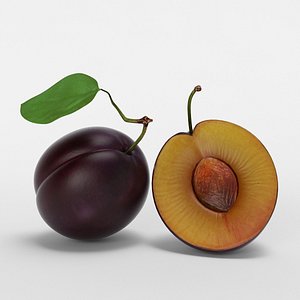 realistic plum 3D model
