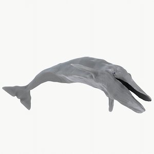 Blue Whale RIGGED 3D model