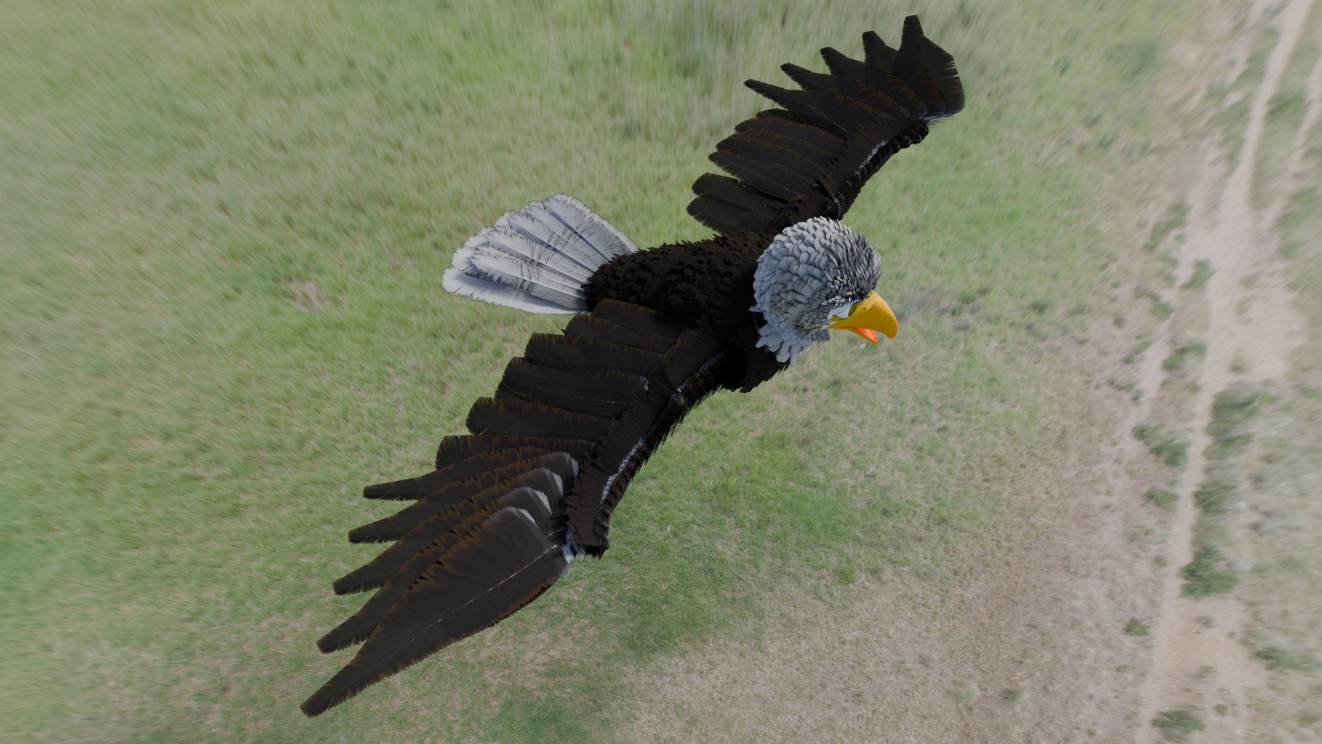 Eagle 3D https://p.turbosquid.com/ts-thumb/98/hWI63b/i6/eagle_render.02/jpg/1715223762/1920x1080/fit_q87/9fba58531ea0fa3067412919694f2220a3b2ee9a/eagle_render.02.jpg