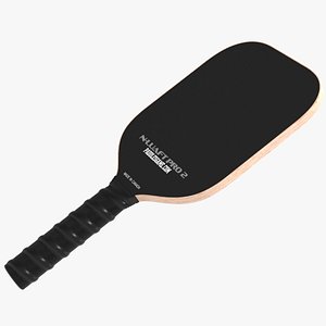 PickleBall Paddle v2