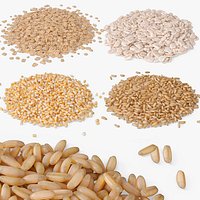 Oat Grain Collection