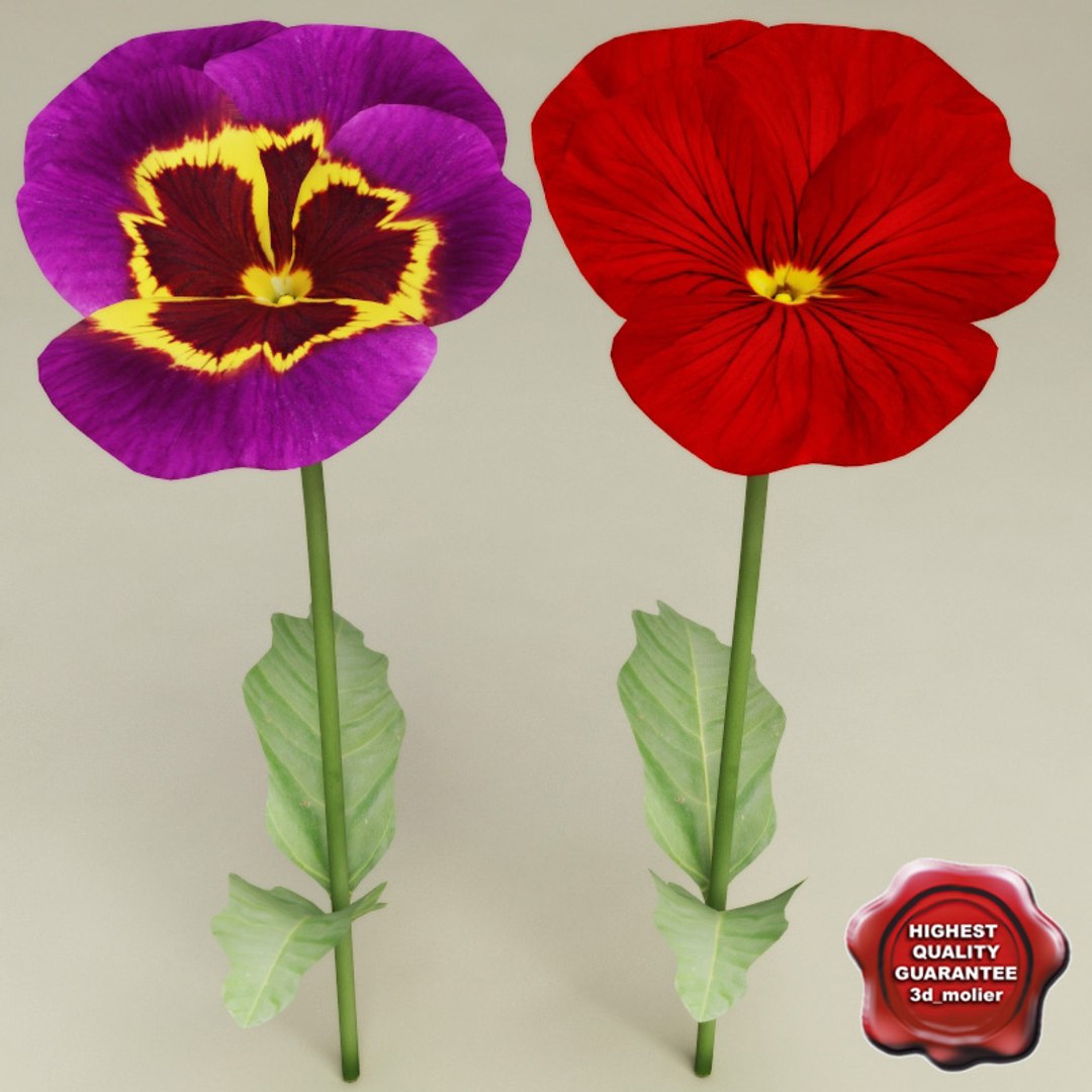 flowers v2 3d 3ds https://p.turbosquid.com/ts-thumb/99/SDVphL/3iBcbeJr/flowers_collection_v2_21/jpg/1269210065/1920x1080/fit_q87/907ea5a41b63bf23cef59038906e904f46ecc457/flowers_collection_v2_21.jpg