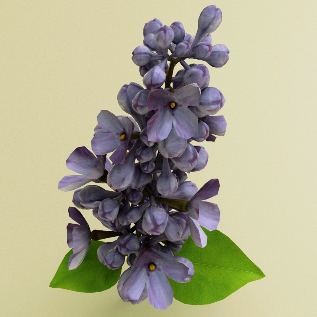 flowers v2 3d 3ds https://p.turbosquid.com/ts-thumb/99/SDVphL/6trV3qAJ/flowers_collection_v2_10/jpg/1269210063/1920x1080/fit_q87/82e698e3ebeebe9587fd70130a9318d8bdbd6c07/flowers_collection_v2_10.jpg