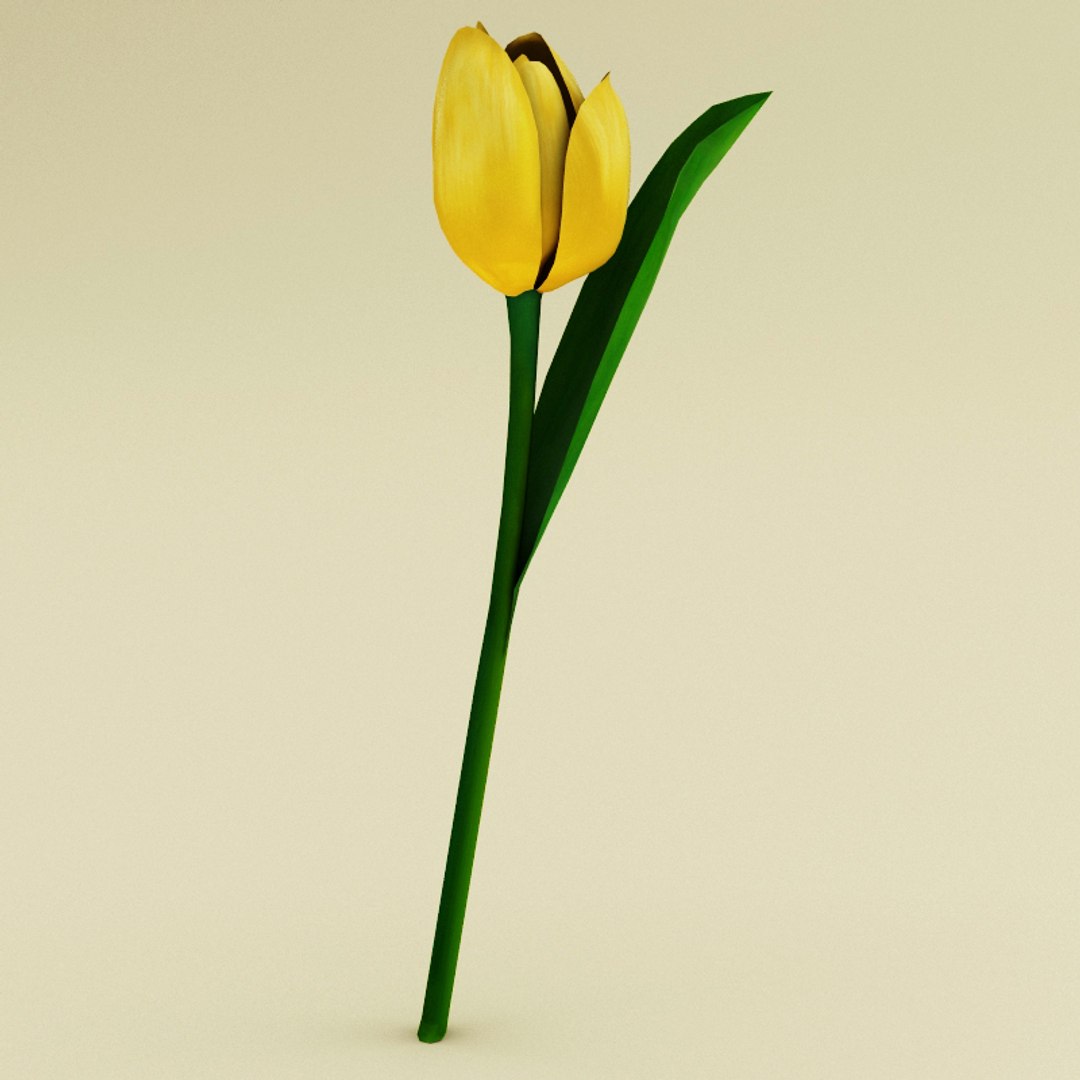 flowers v2 3d 3ds https://p.turbosquid.com/ts-thumb/99/SDVphL/99SwmoQB/flowers_collection_v2_65/jpg/1269210070/1920x1080/fit_q87/4658fa759aa9eb4e86c0afa21a92c09ef9521d1a/flowers_collection_v2_65.jpg