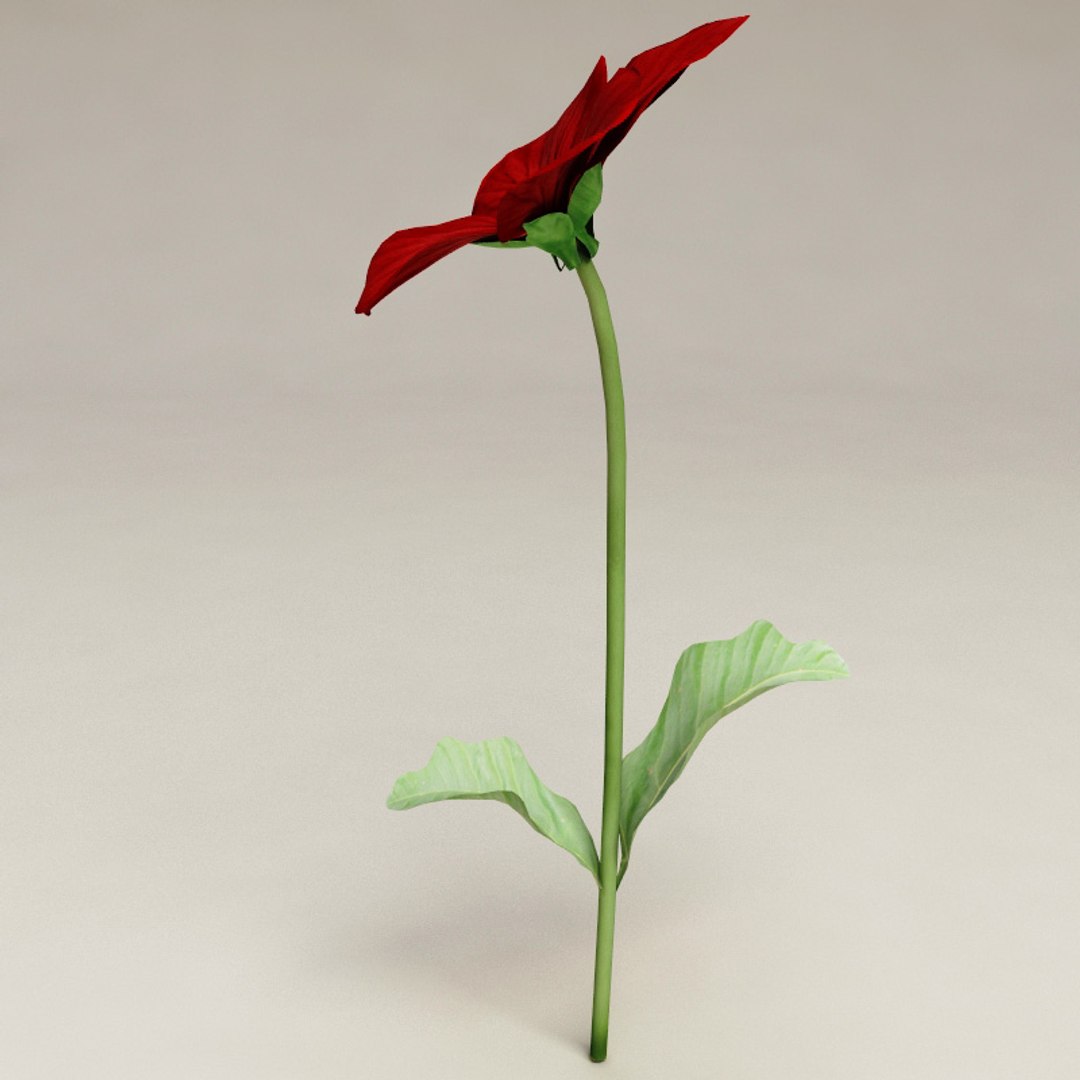 flowers v2 3d 3ds https://p.turbosquid.com/ts-thumb/99/SDVphL/OQp4AFD8/flowers_collection_v2_29/jpg/1269210066/1920x1080/fit_q87/5029dcd808cc2ec20b119e4c57b438a7fb81c79e/flowers_collection_v2_29.jpg