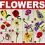 Collection Fleurs V2