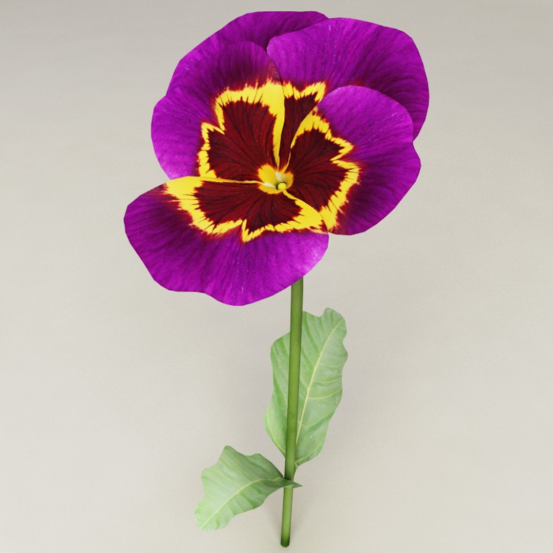 flowers v2 3d 3ds https://p.turbosquid.com/ts-thumb/99/SDVphL/dwio9QFO/flowers_collection_v2_24/jpg/1269210065/1920x1080/fit_q87/94fd100a30002f020ee71e21acce838192c1c348/flowers_collection_v2_24.jpg