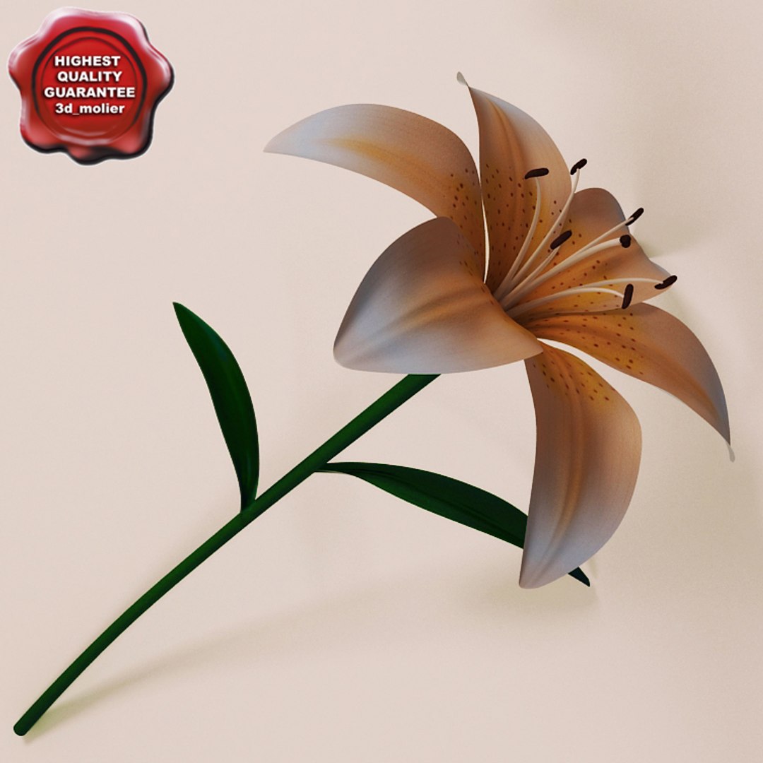 flowers v2 3d 3ds https://p.turbosquid.com/ts-thumb/99/SDVphL/uoRyLtMq/flowers_collection_v2_11/jpg/1269210063/1920x1080/fit_q87/0968949366a647cfd16384a690e7e5df0b3c9994/flowers_collection_v2_11.jpg