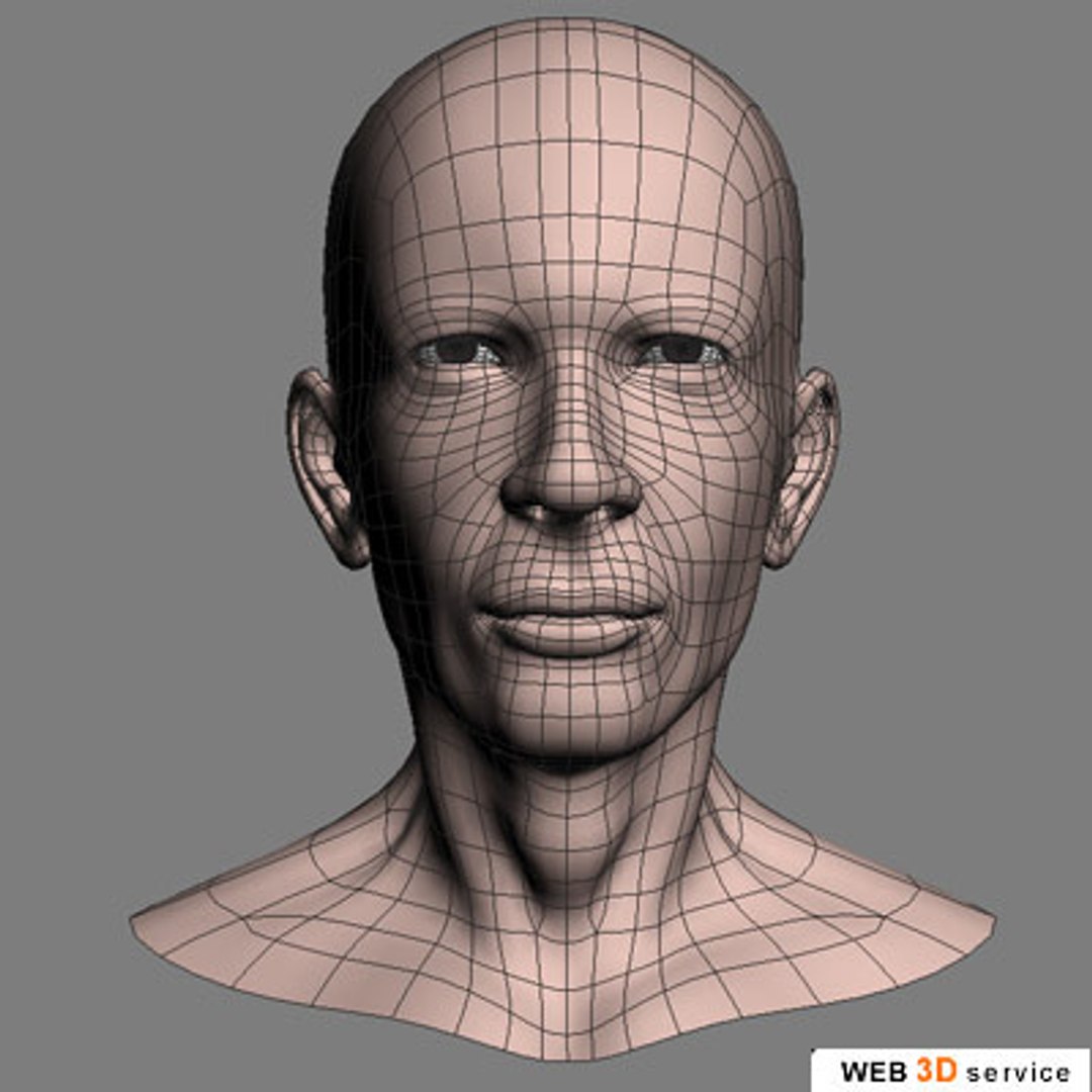 3d male head model