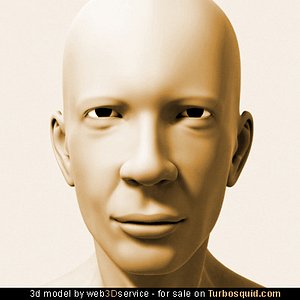 3d male head model