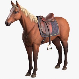 Saddled horse 3D model