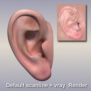 3d model of faces