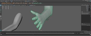 Rigged Weighted First Person Arms