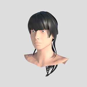 3D Head and Hair