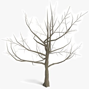 Dead Tree 1