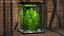 Aquarium Essentials Collection 3D model