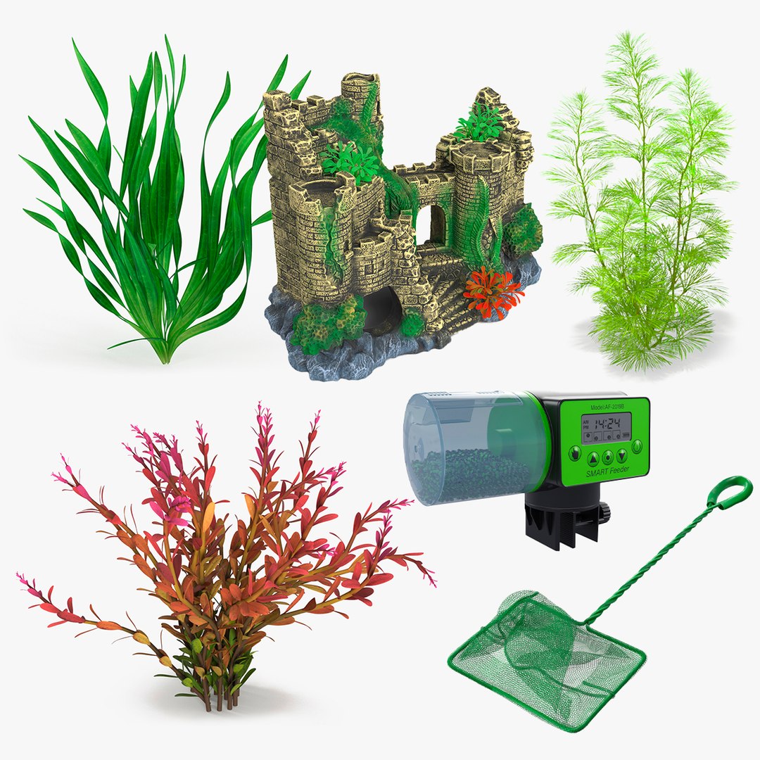 Aquarium Essentials Collection 3D model https://p.turbosquid.com/ts-thumb/9A/TQbHpn/8d/aquarium_essentials_collection_000/jpg/1748956348/1920x1080/fit_q87/c2a2f3ade16cbe25a167ea6152eae0cea909c2c3/aquarium_essentials_collection_000.jpg