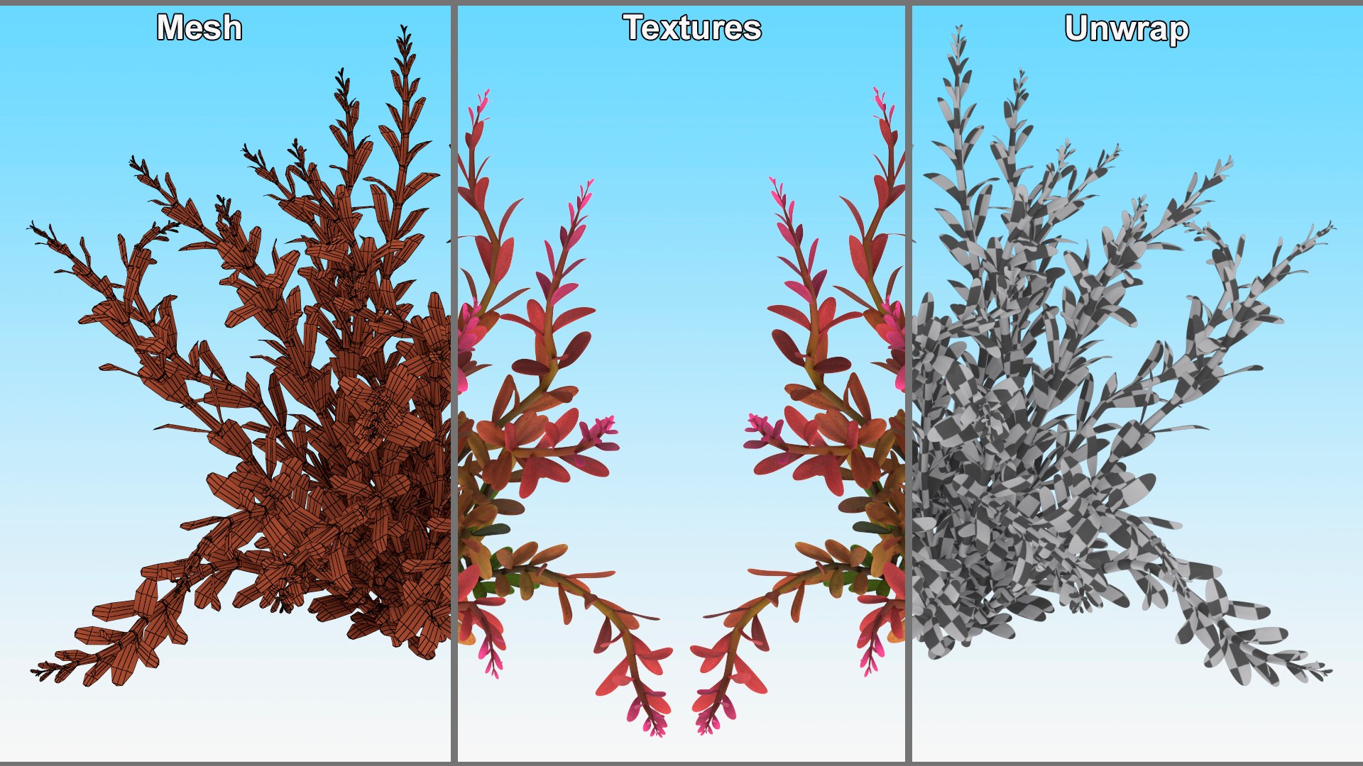 Aquarium Essentials Collection 3D model https://p.turbosquid.com/ts-thumb/9A/TQbHpn/LS/aquarium_essentials_collection_024/jpg/1748956364/1920x1080/fit_q87/89fa968a0783f052f026385c4ca624b18d881fbb/aquarium_essentials_collection_024.jpg