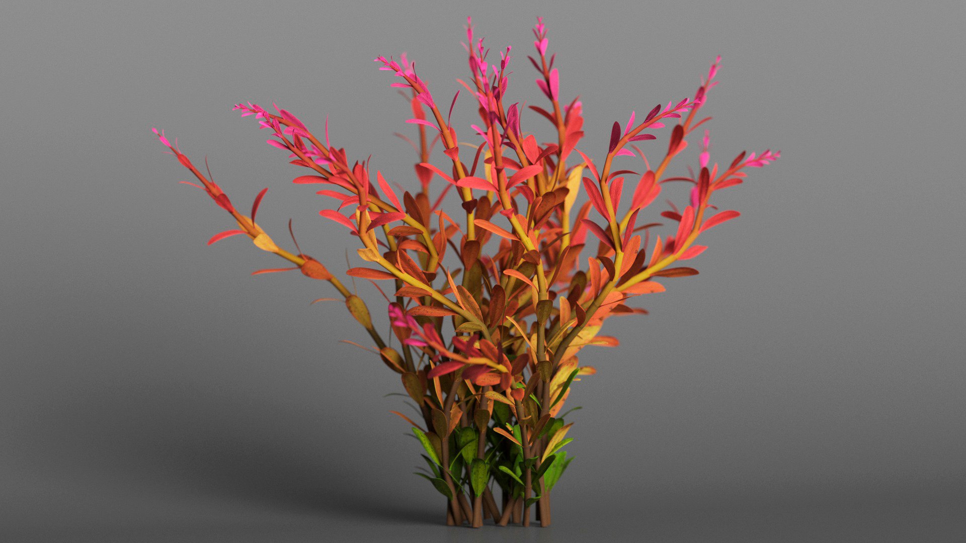 Aquarium Essentials Collection 3D model https://p.turbosquid.com/ts-thumb/9A/TQbHpn/i6/aquarium_essentials_collection_013/jpg/1748956355/1920x1080/fit_q87/2822b49222365baa68b82ad9dcb3bf5a9d739daf/aquarium_essentials_collection_013.jpg