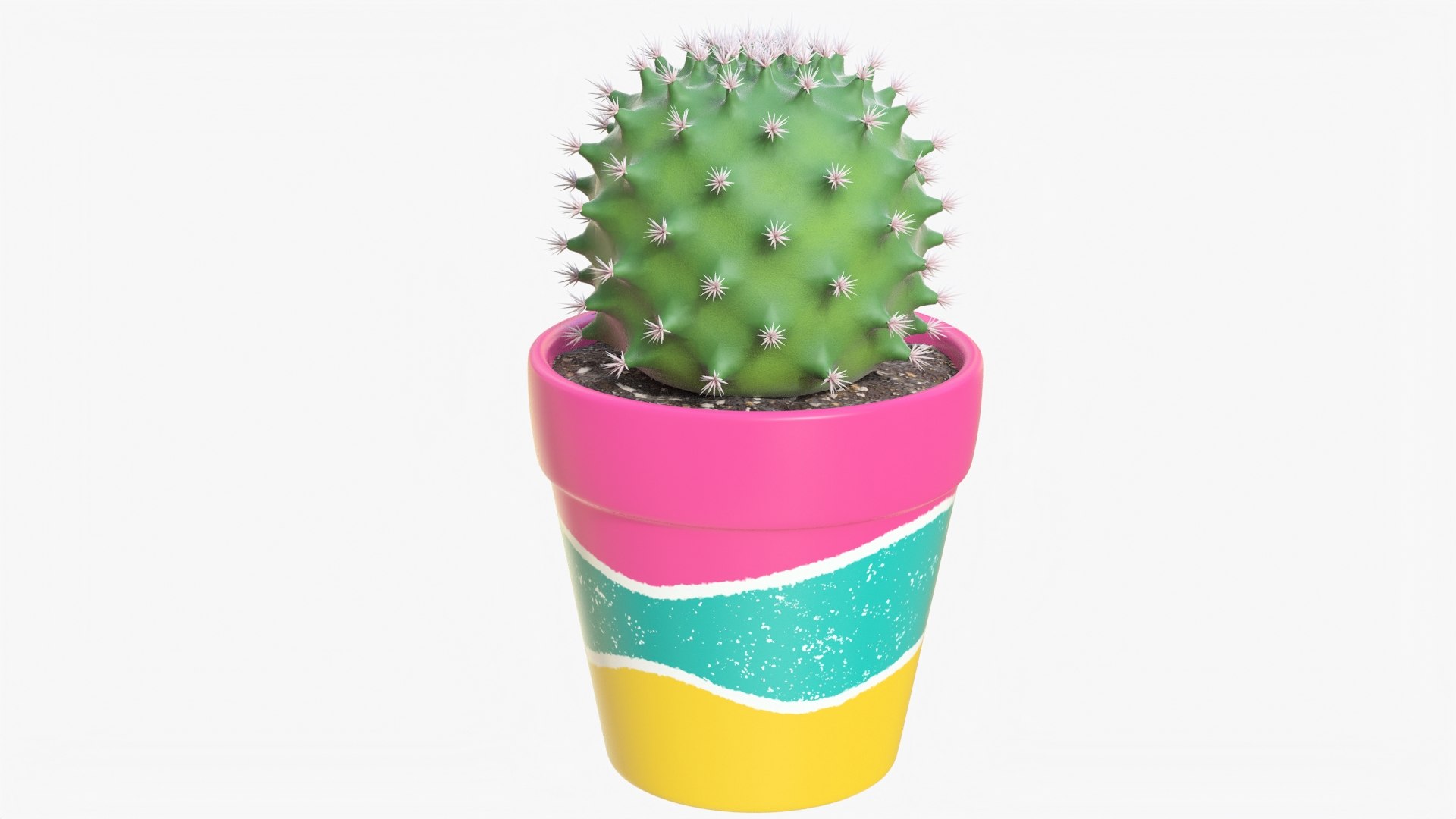 3D Cactus 02 D - TurboSquid 1987413