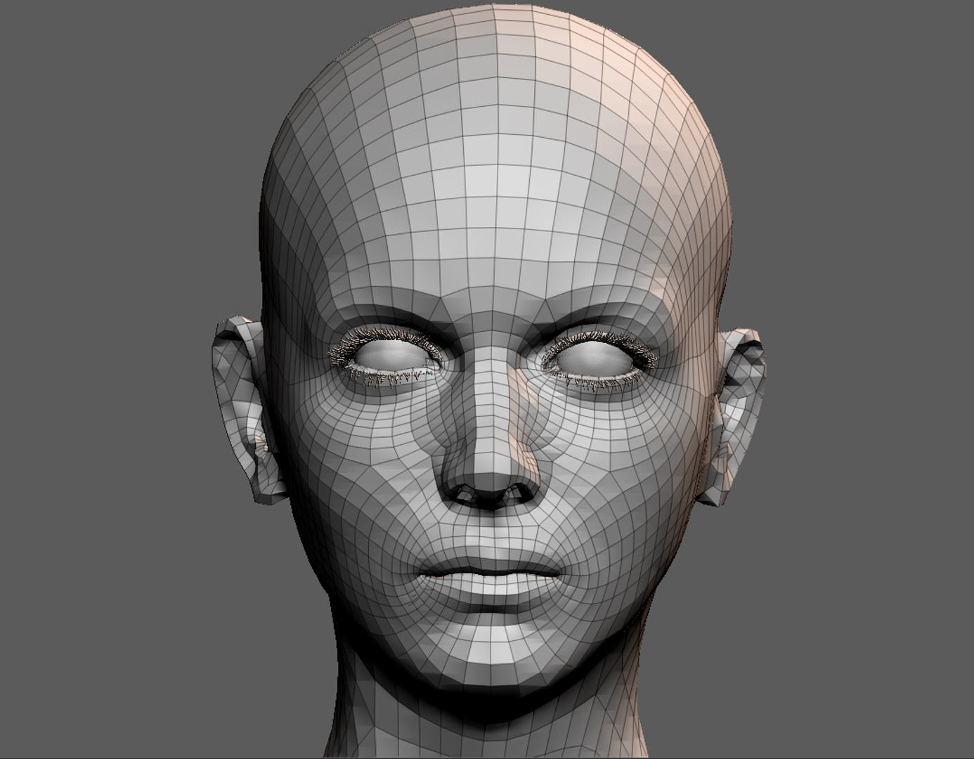 3D face uv model | 1142542 | TurboSquid