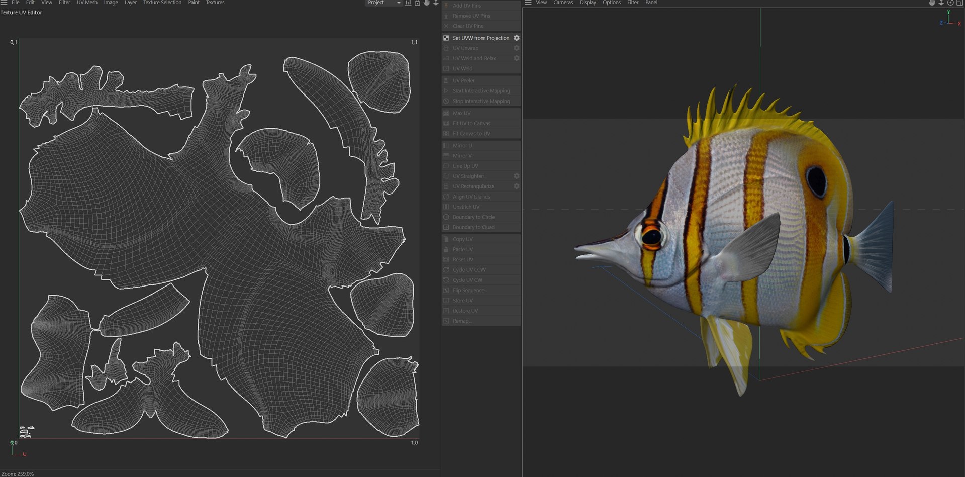 Copper banded Butterflyfish model https://p.turbosquid.com/ts-thumb/9A/tY5UoT/Yh/uv/jpg/1774424128/1920x1080/fit_q87/17be99f245b65cb0b28682a1d1f9e206d64f0993/uv.jpg