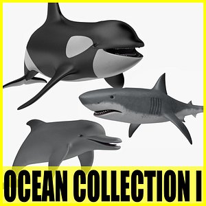 Ocean Collection I - 3 Animated animals