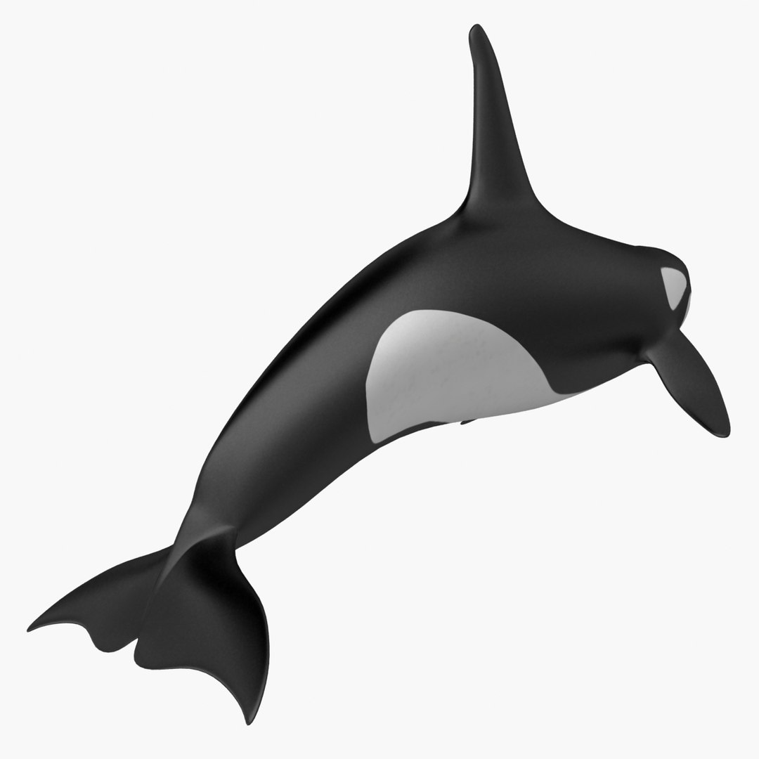Fbx 3 - Animation