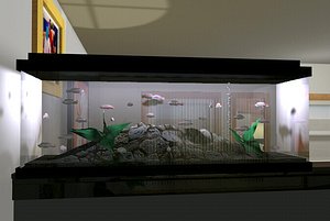 Aquarium
