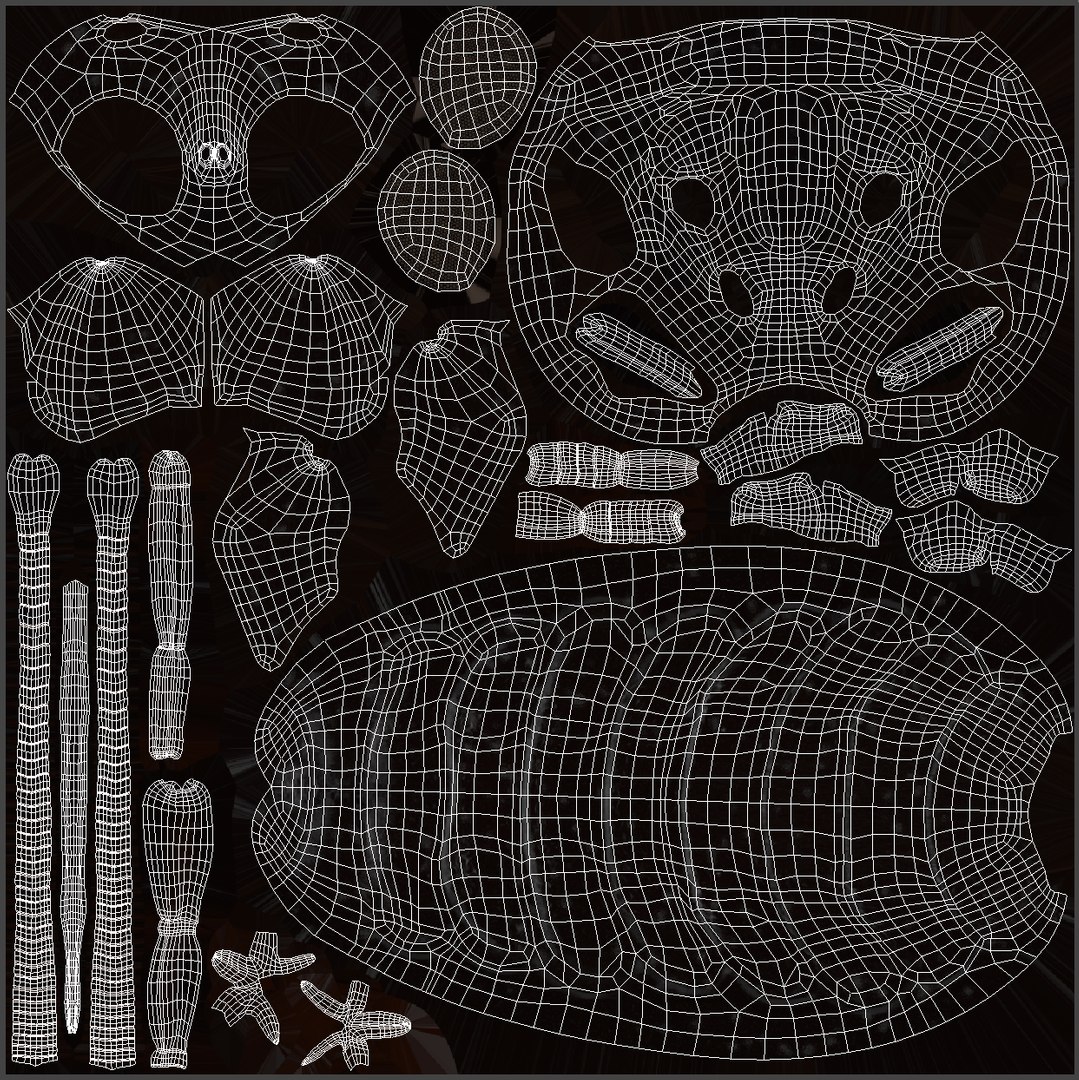 Butterfly Static Model - TurboSquid 2069861