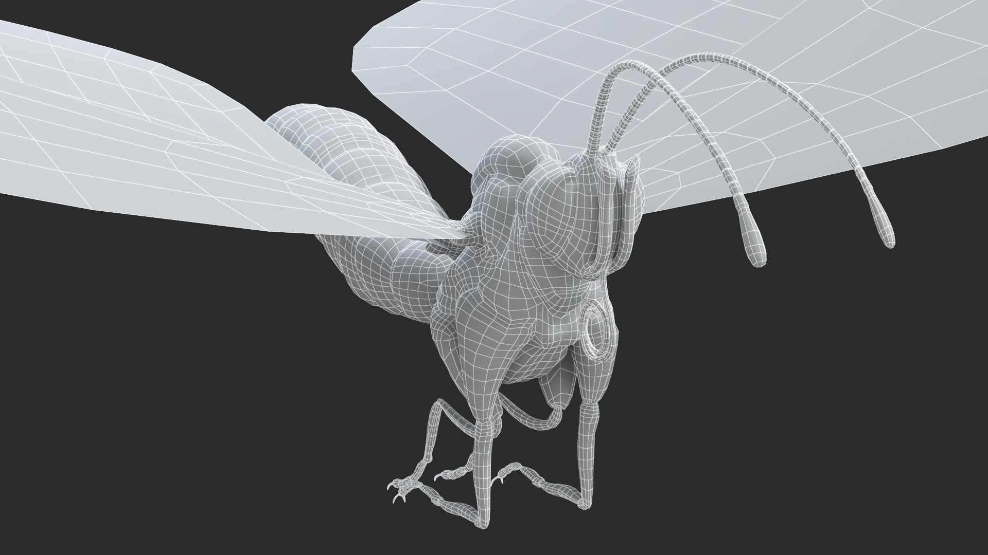 Butterfly Static Model - TurboSquid 2069861