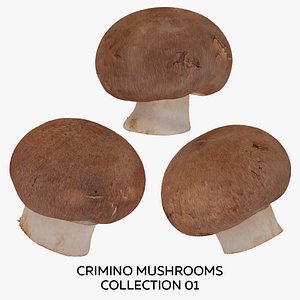3D Crimino Mushrooms Collection 01 - 3 models RAW Scans