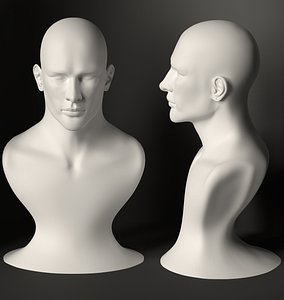 Man Bust realistic head 3D