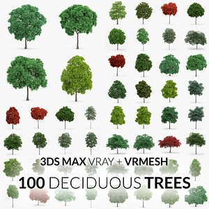 Deciduous Trees Collection - 100 Trees - V-Ray + VRMESH