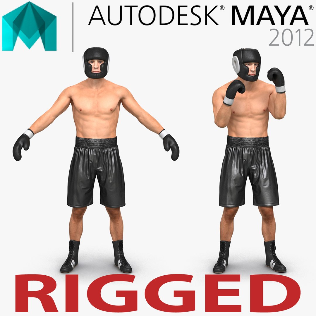 Adult Boxer Man Rigged for Maya 3D model preview
