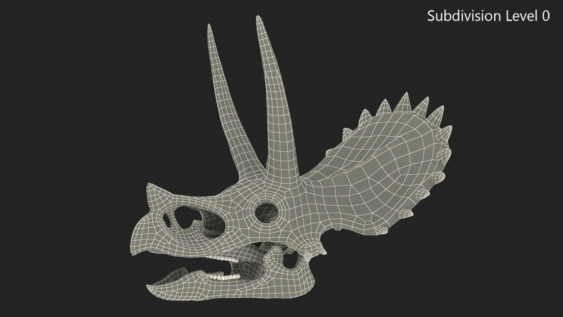 triceratops skull animal 3D model https://p.turbosquid.com/ts-thumb/9B/nMiblp/1OFMLYZp/triceratopsskullc4dmodel012/jpg/1580734190/1920x1080/fit_q87/848edfc4209ad4a9636581265f7c2f1ee6c52962/triceratopsskullc4dmodel012.jpg