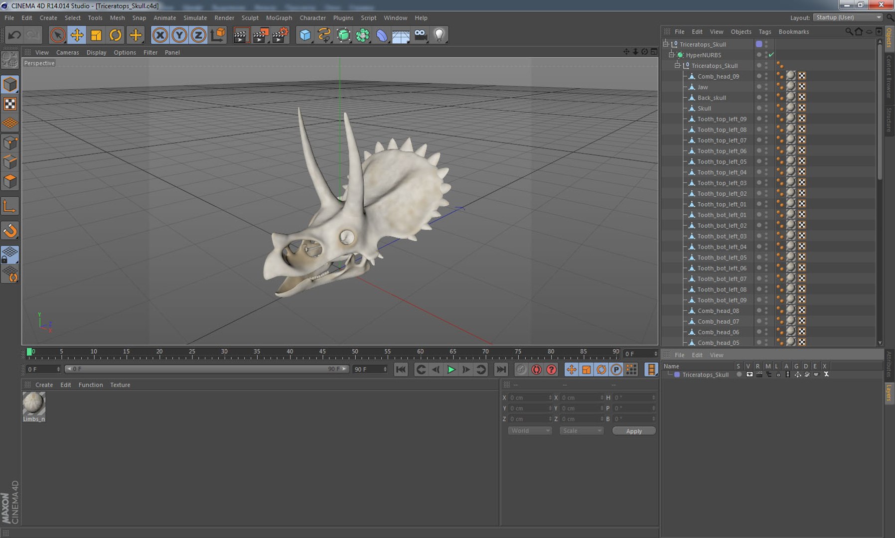 triceratops skull animal 3D model https://p.turbosquid.com/ts-thumb/9B/nMiblp/Gm7iKewo/triceratopsskullc4dmodel017/jpg/1580734218/1920x1080/fit_q87/becf3c88689f490611d8b18da467d67b62cbe1aa/triceratopsskullc4dmodel017.jpg