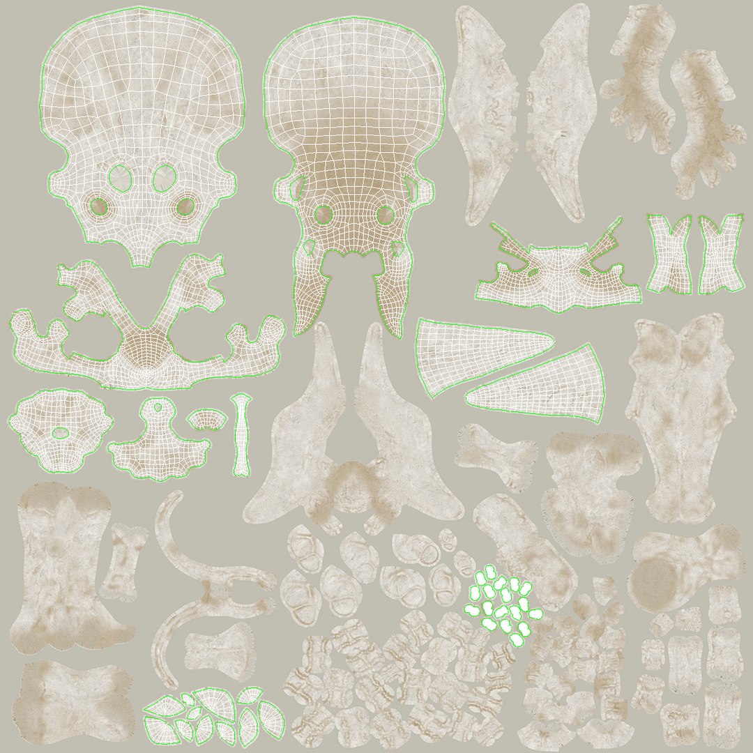 triceratops skull animal 3D model https://p.turbosquid.com/ts-thumb/9B/nMiblp/NZub9P9q/triceratopsskullc4dmodel014/jpg/1580734202/1920x1080/fit_q87/76d3383b6d25eaea1c26232eab89d9741adf28ad/triceratopsskullc4dmodel014.jpg