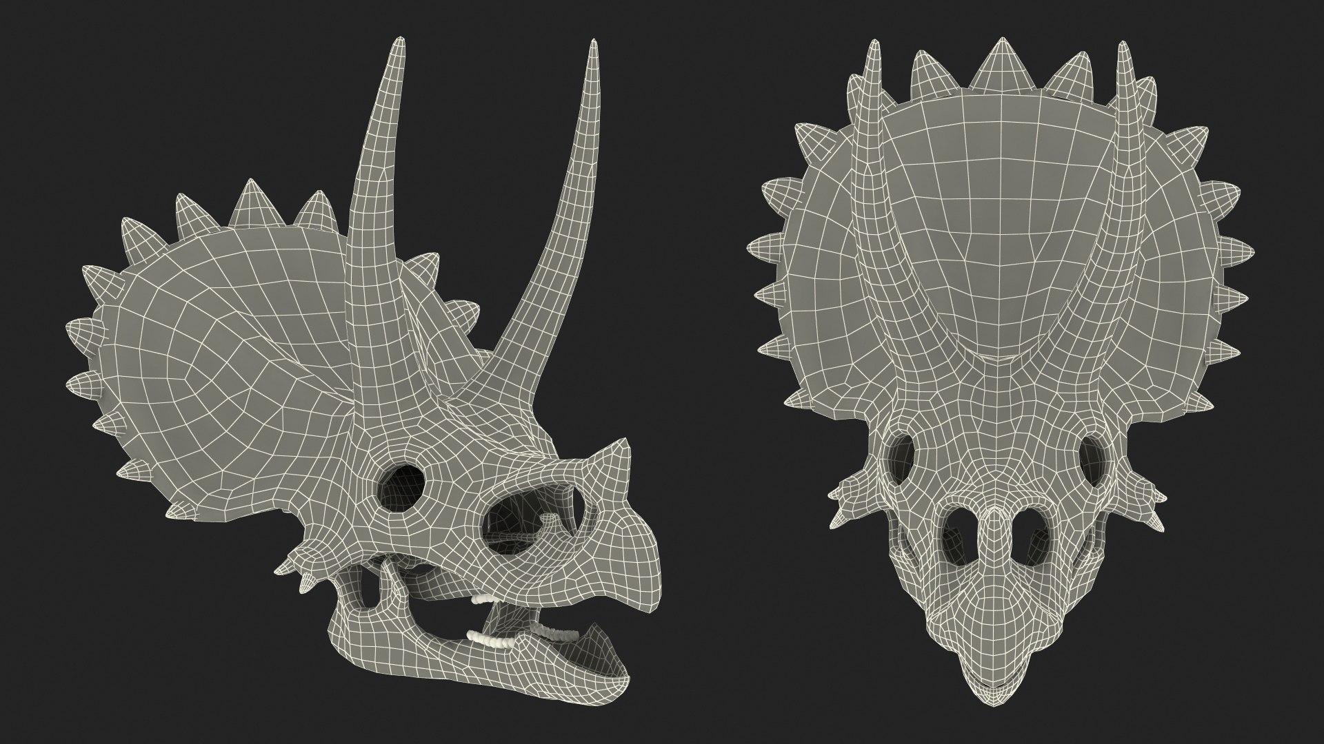 triceratops skull animal 3D model https://p.turbosquid.com/ts-thumb/9B/nMiblp/TDnduViP/triceratopsskullc4dmodel019/jpg/1580734229/1920x1080/fit_q87/aee9d11c6b5018741597c0e623724ed1be8be0d5/triceratopsskullc4dmodel019.jpg