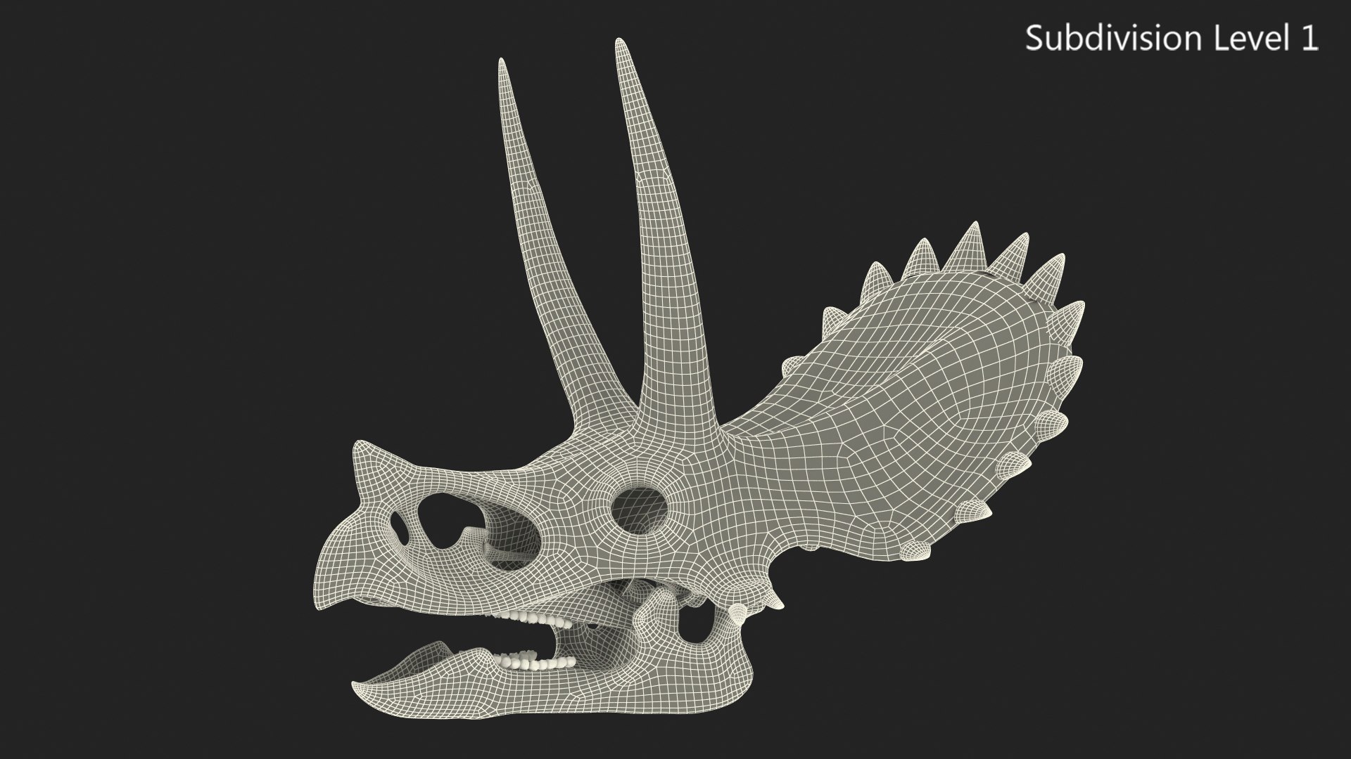 triceratops skull animal 3D model https://p.turbosquid.com/ts-thumb/9B/nMiblp/TyDVATMG/triceratopsskullc4dmodel013/jpg/1580734195/1920x1080/fit_q87/2ae7129c2753945102c7d33a60dcfb62cf815e14/triceratopsskullc4dmodel013.jpg